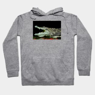 Alligator / Swiss Artwork Photography Hoodie